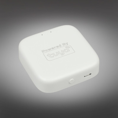 Wi-Fi конвертер Magnetic track 220 APL.0295.00.01