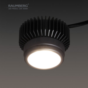 Светодиодный модуль  Raumberg12W3000K